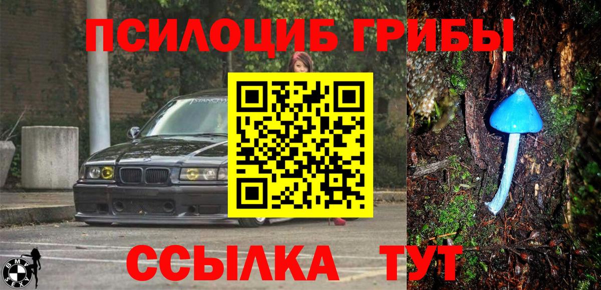 Псилоцибиновые грибы мухоморы  Вход с VPN  Ялуторовск  Галлюциногенные грибы GOLDEN TEACHER 